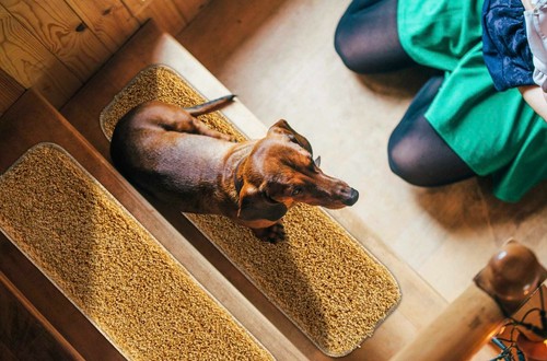 Stair Treads Carpet Mat Non Slip Skid Cleaning Machine Washable, Shaggy 22x67cm - Picture 84 of 88