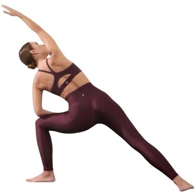 Athleta Elation Sheen Tight Spiced Cabernet Large NWT