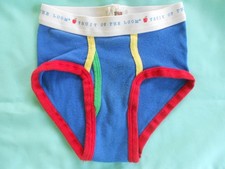 Vintage 1990 Fruit of the Loom Boys Briefs 4T Made in the USA. Colorblock