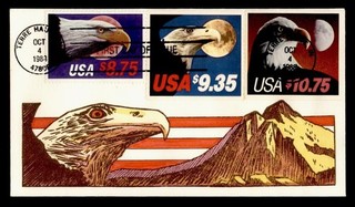 DR WHO 1988 FDC EXPRESS $8 75 WILDY CACHET COLORATO A MANO R80510