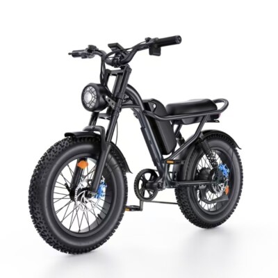 20'' Adult Electric Bike 1000W 48V 15.6Ah 28MPH Bicycle Fat Tire E-Mountain Bike