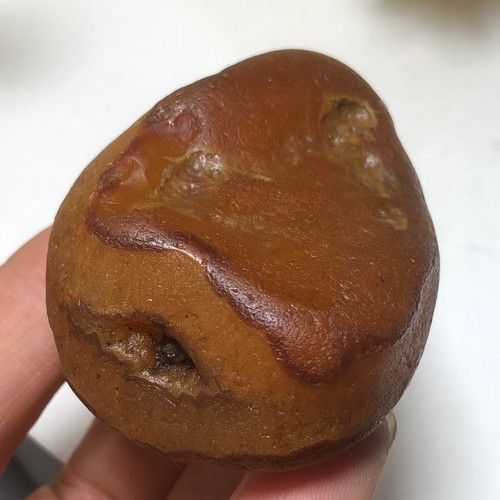 92g Bonsai Suiseki-Natural Gobi Agate Eyes Stone-Rare Stunning Viewing-E5 - Bild 16 von 20