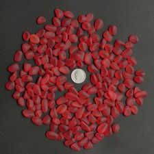 red ruby-like sea beach glass 20 pieces lots 10-14mm jewelry use
