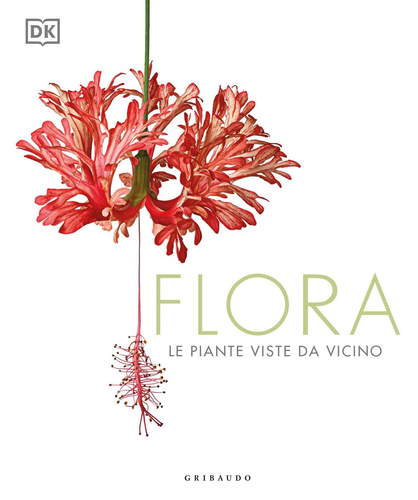 Flora. Le Piante Viste Da Vicino - Foto 12 di 12