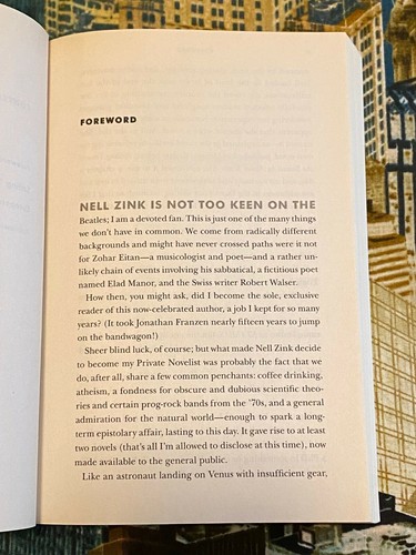 private novelist by nell zink private novelist by nell zink