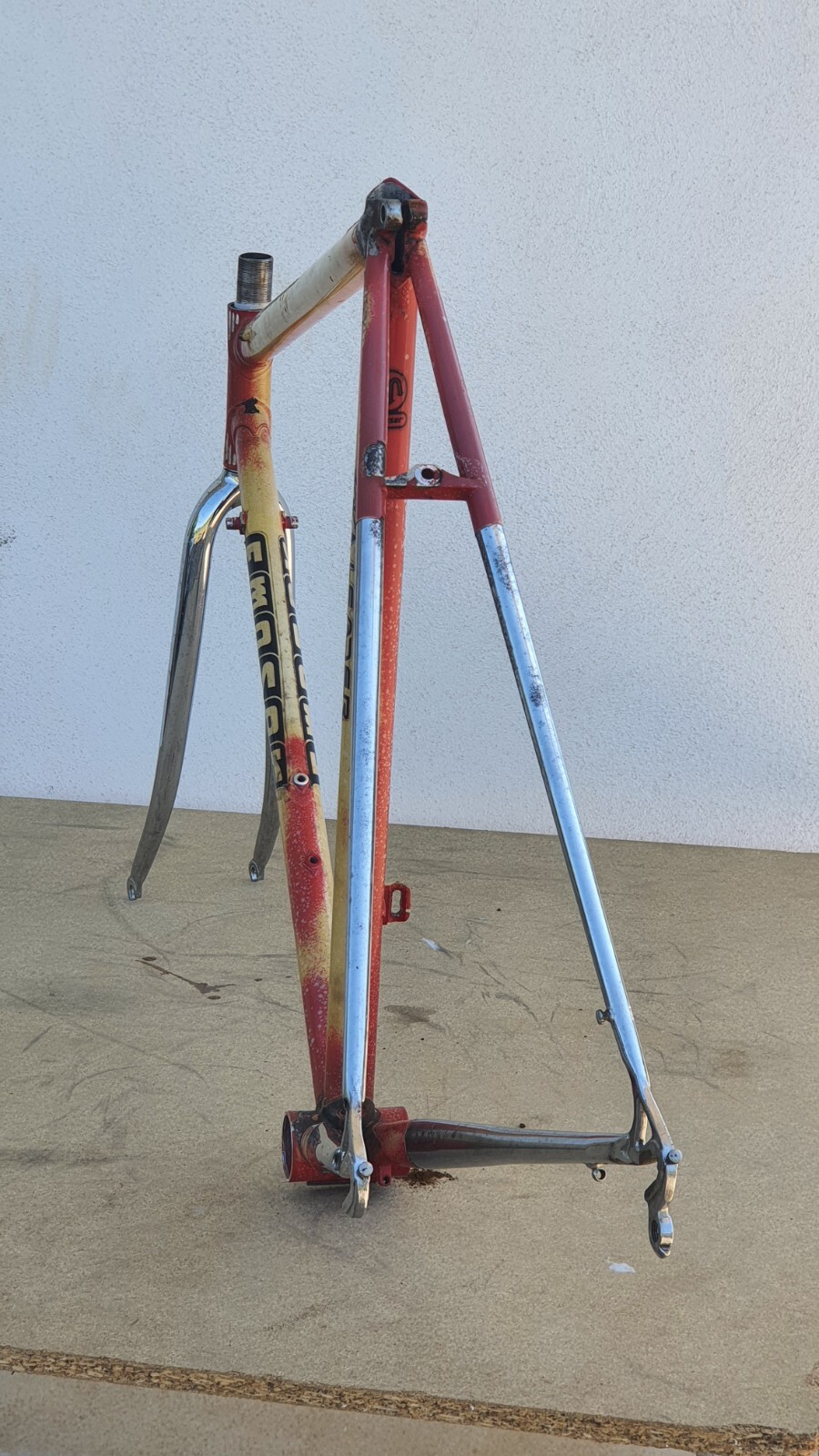 Foto 17 di 24