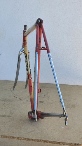 Telaio Liberati Acciaio Professionista Campagnolo 53x53 Per Moser Record - Foto 17 di 24