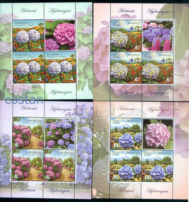 2025 Hortense/Hydrangea Flowers :Panicled/Large-leaved,smooth,Romania,8516KB/MNH