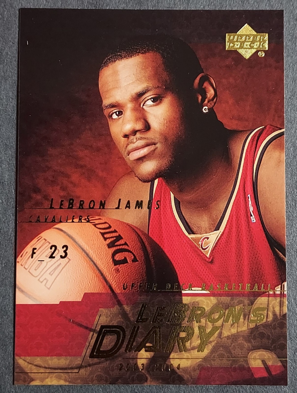 2003-04 Upper Deck - Lebron's Diary LeBron James #LJ10 (RC)