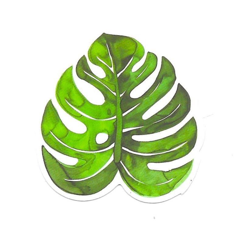 Vinyl Sticker Die Cut Monstera Leaf Decal Tropical Houseplant Journal Scrapbook