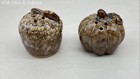 Acorn and Pumpkin Autumn Harvest Ceramic Salt and Pepper Shakers Set of 2 — photo 1