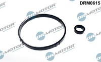 Dr.Motor Automotive DRM0615 Dichtungssatz ÖLküHler FüR CitroëN Peugeot