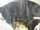 Bild 6 von 6