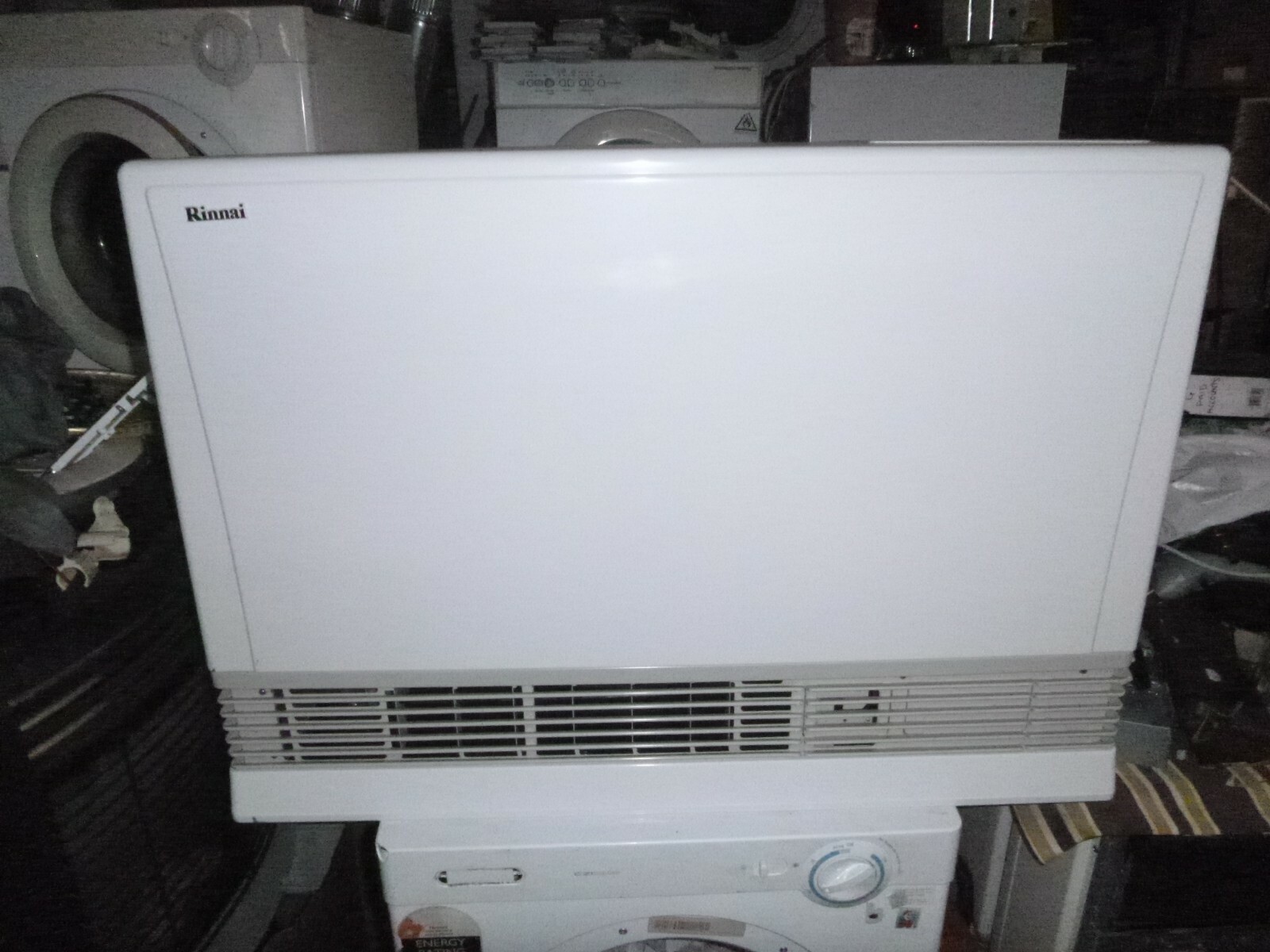 Rinnai 1005 FT Energy saver gas heater | eBay