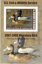 #RW74B 2007 Mini Sheet w/Duck Stamp and Autograph $15.00 Stamp