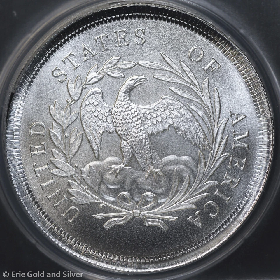 Ficha de sobregolpe de cabello suelto Dan Carr 1792 en Silver Eagle ANACS MS 69 - Imagen 4 de 4