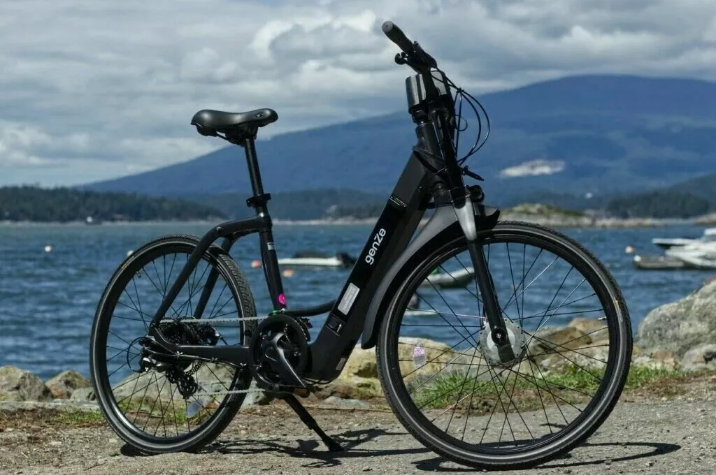 Genze top electric bike