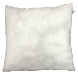 ebay cushion inserts