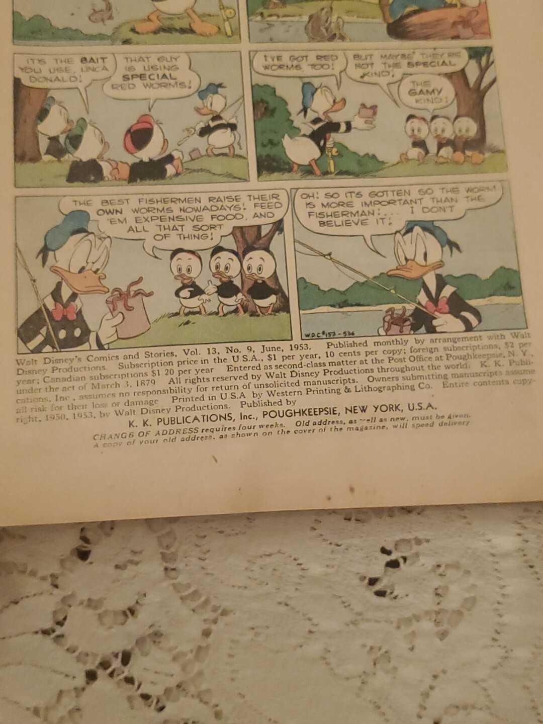 Picture 12 of 24