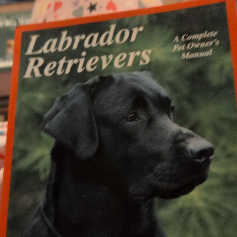 Labrador Retrievers: A Complete Pet Owner's Manual - Labrador Retriever Breed