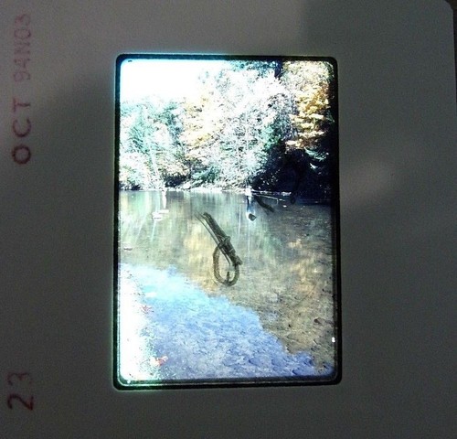 Lot 6 Original Vintage 35mm Kodak Photo Color Slides Nature Transparency - Picture 5 of 7