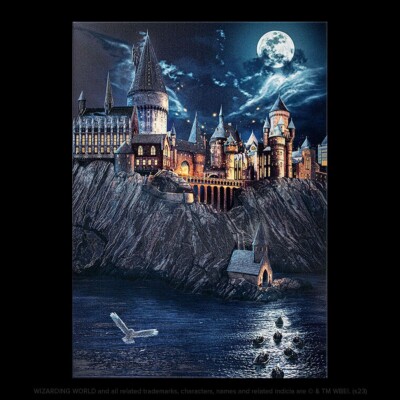Displate Limited Edition Metal Poster -Back to Hogwarts Displate Limited Edition Metal Poster -Back to Hogwarts