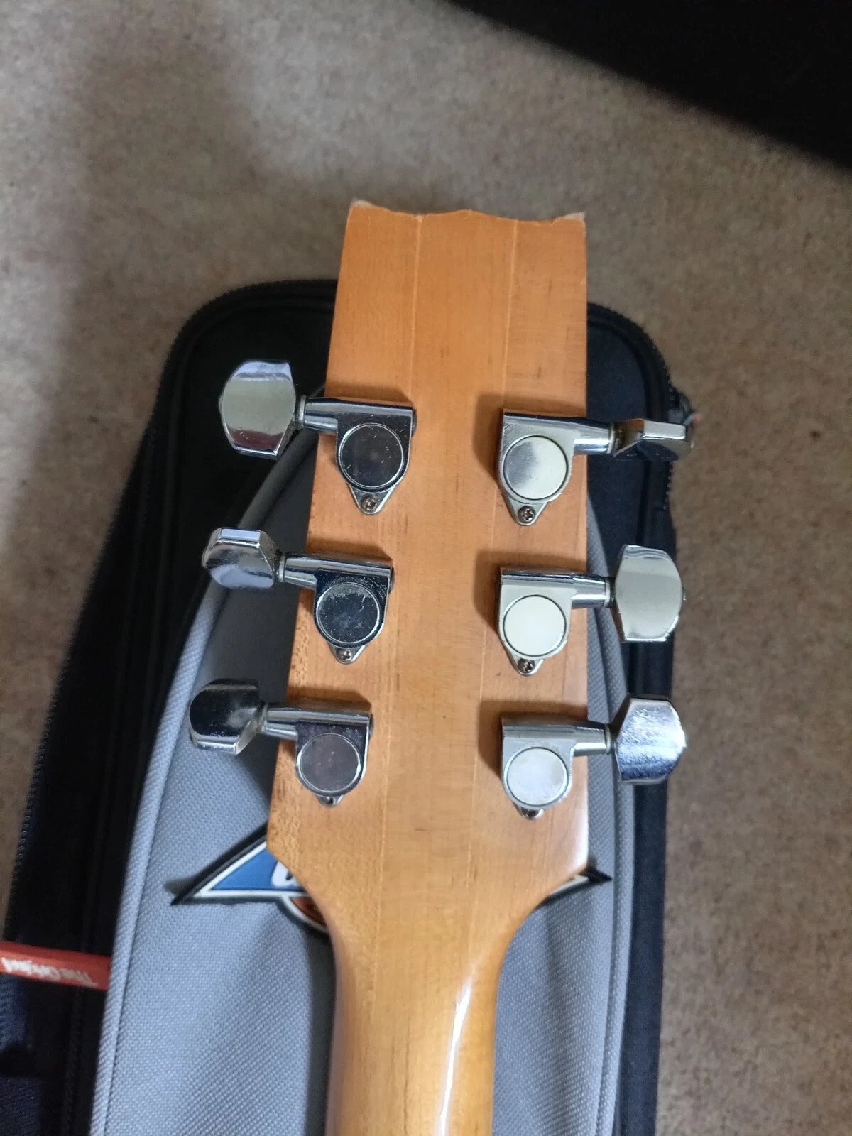 Picture 6 of 6