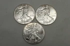 NobleSpirit (LG) DESIRABLE American SILVER Eagle TRIO x 2013 GEM BU