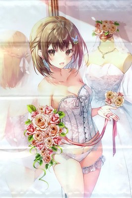 Tapestry [single item] Yuri Hirano Newly drawn B2 tapestry ''Light novel Taking