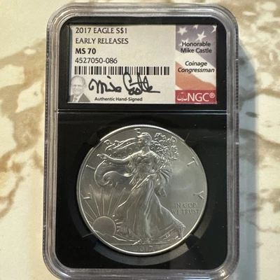 American Eagle MS 70 Graded 2017 Silver Bullion Coins for sale | eBay
