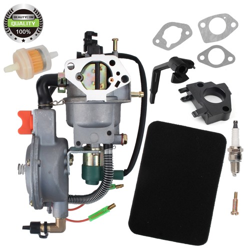 LPG NG Dual Fuel Carburetor For Subaru 