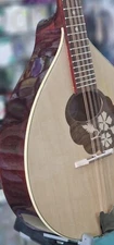 "Flower" Octave mandolin, short scale Irish bouzouki, Hora, Romania, solid wood