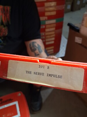 16mm educational film: THE NERVE IMPULSE