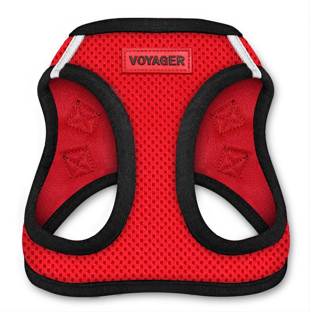 voyager all weather cat harness