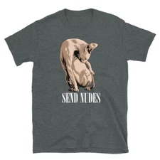 Funny Sphynx Hairless Cat Send Nudes Short-Sleeve Unisex T-Shirt