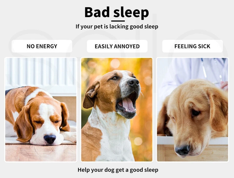 Washable Pet Calming Bed Cat Puppy Large Dog Sleep Warm Soft Plush Comfy Cushion - image 4 of 4