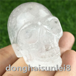 Natural clear Quartz hand carved Crystal dragon Skull point Healing 1Pc