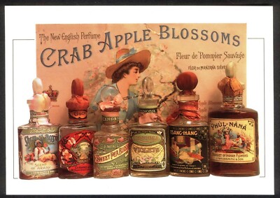 Moderne Postkarte: KRABBENAPFELBLÜTE PARFÜM. Oldtimer Reklame (Opie 01PK04)