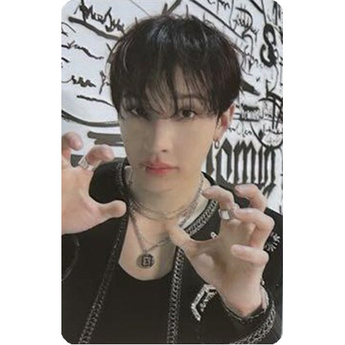 STRAY KIDS WORLD TOUR DOMINATE ATE SEOUL PHOTOCARD SKZ SKZOO UNIT CAFE STAY ZONE - Picture 26 of 49