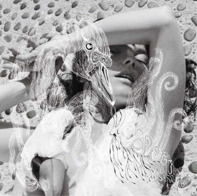 Björk Vespertine (Vinyl) 12'' Album