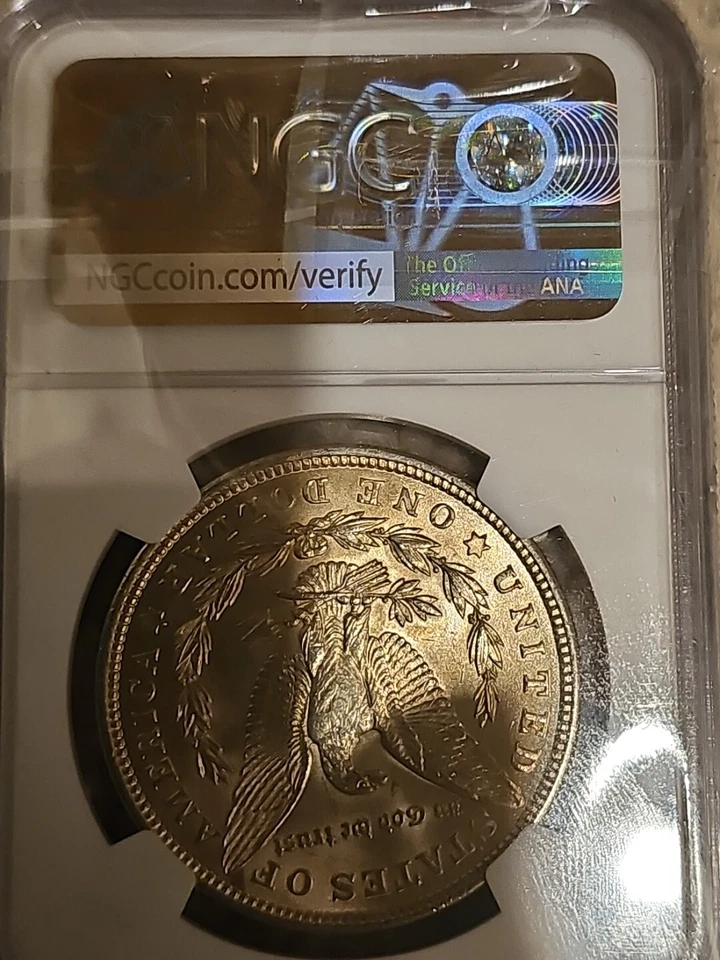 Mint Error MS62 1921 Morgan Silver Dollar Obverse Struck Thru 100th Anniv NGC  - Image 4 of 4