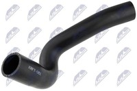 Nty Ladeluftschlauch GPP-FT-081 FüR CitroËN Passend FüR Fiat Peugeot