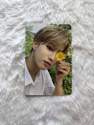 Stray Kids Skz PC Photocard Noeasy Han Jisung
