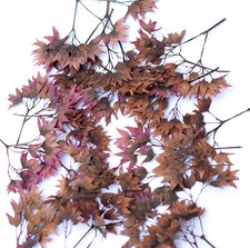 Brown Pressed Flowers with Branches Resin DIY Art Card Making Floral Decor