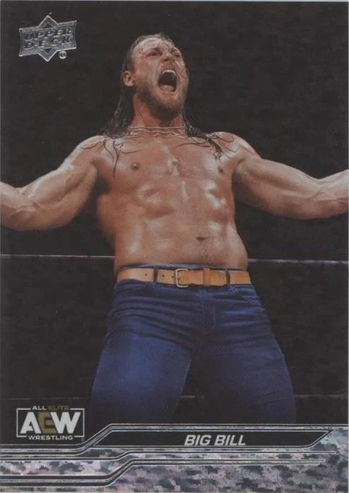 Speckled Rainbow Foil