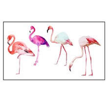 Flash Once Temporary Adhesive Tattoo Flamingo Pink Beach Gift Party Vacation