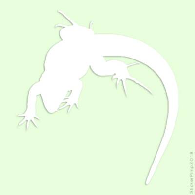 Gecko Anole Lizard, Vinyl Decal Sticker, Multiple Colors & Sizes #2861