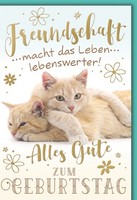 Geburtstag GlüCkwunschkarte Mit Briefumschlag Katzenfreundschaft