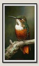 Chestnut-throated Hummingbird - Chart Counted Cross Stitch Patterns Needlework
