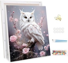 Malen Nach Zahlen Erwachsene mit Rahmen Eule, DIY Set Erwachsene Tier